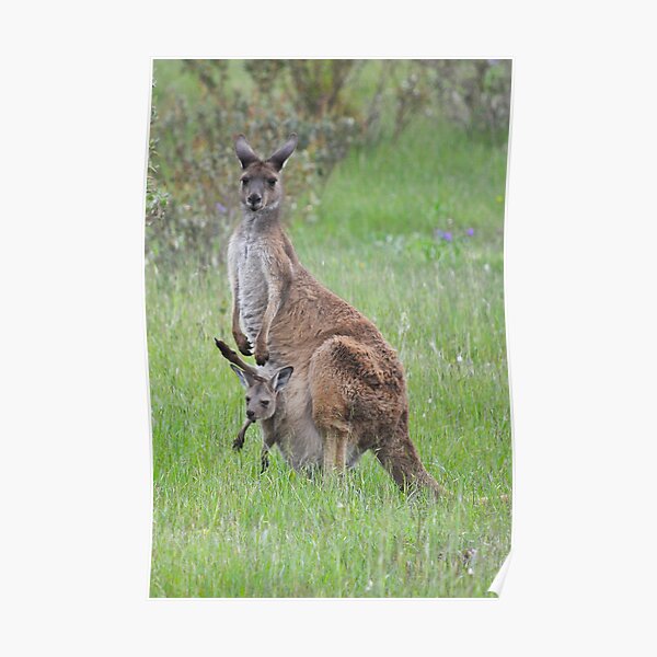 Mum & Bubs Poster