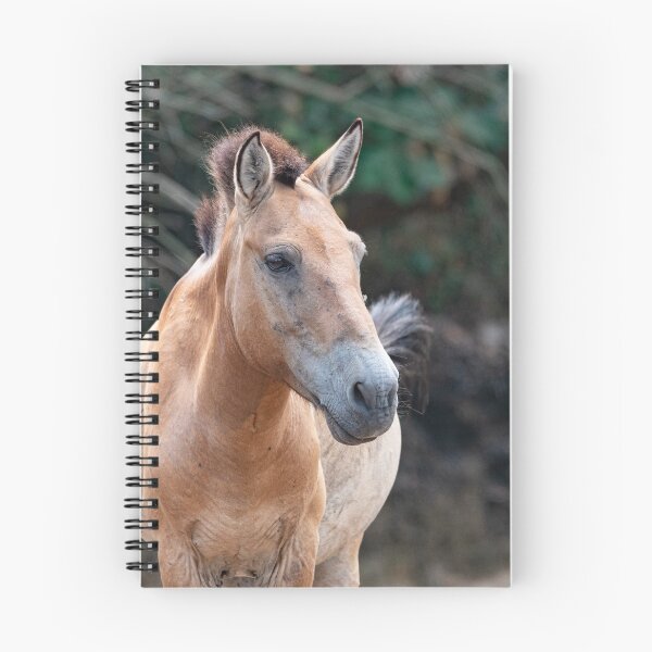 Item preview, Frontal portrait of wild horse designed and sold by brambillasimone.
