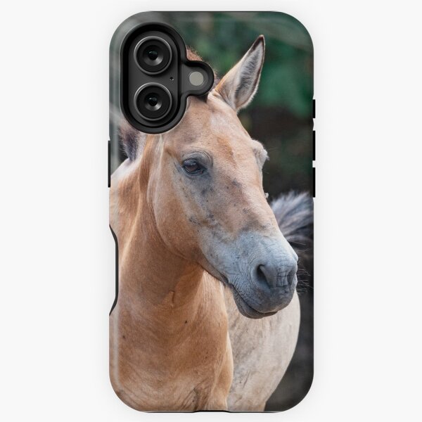 Aperçu de l'œuvre Portrait frontal de cheval sauvage créée et vendue par brambillasimone.