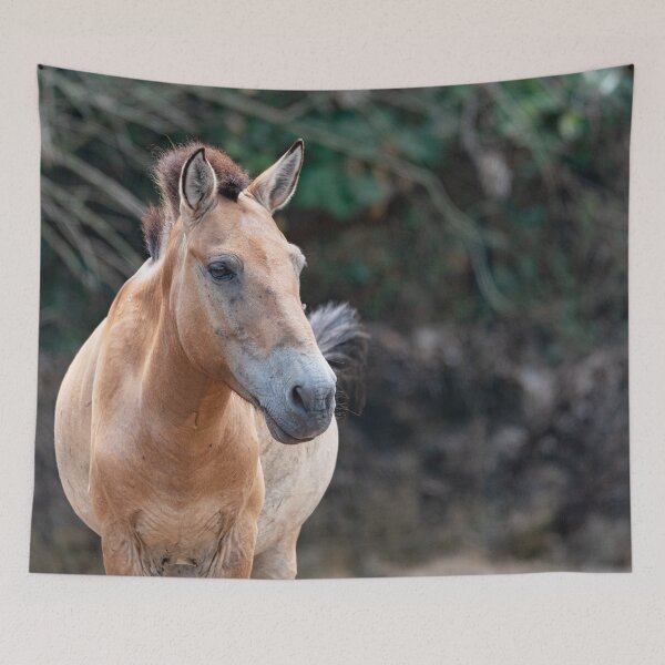 Item preview, Frontal portrait of wild horse designed and sold by brambillasimone.