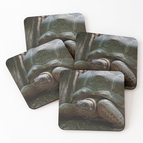 Item preview, Large terrestrial turtle designed and sold by brambillasimone.