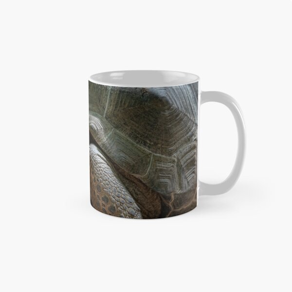 Item preview, Large terrestrial turtle designed and sold by brambillasimone.