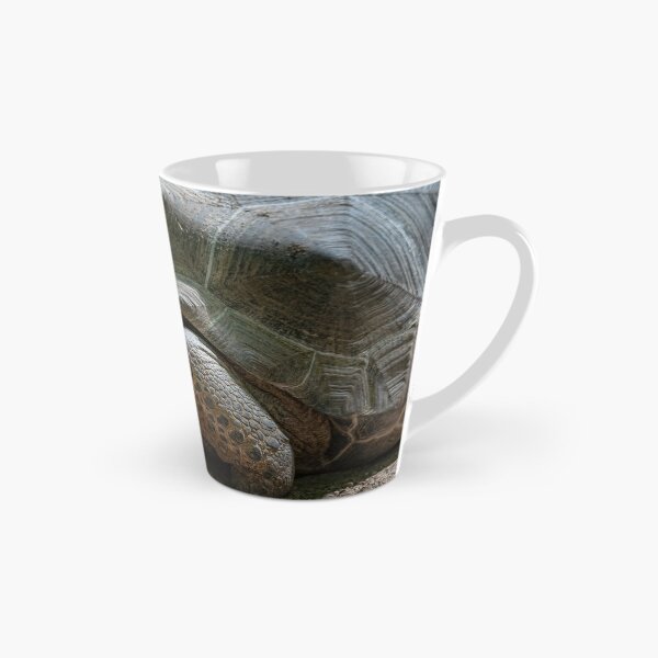 Item preview, Large terrestrial turtle designed and sold by brambillasimone.