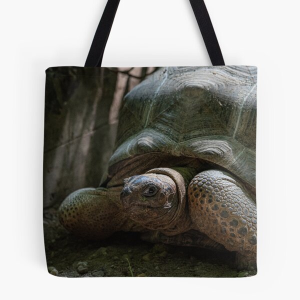 Item preview, Large terrestrial turtle designed and sold by brambillasimone.