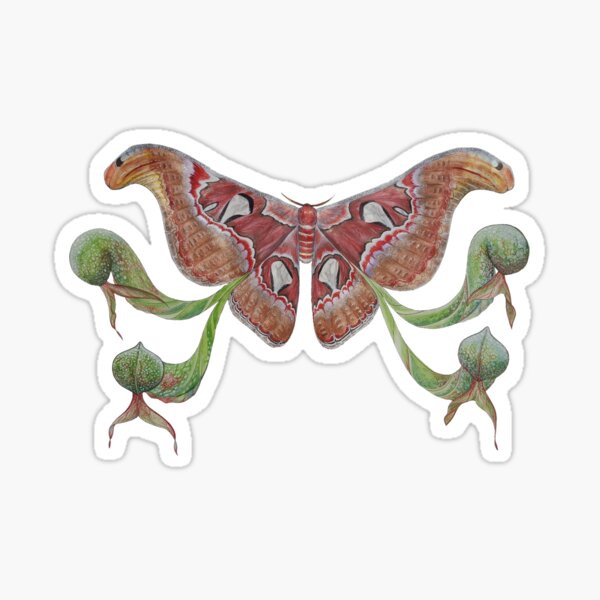 Item preview, Attacus atlas and Darlingtonia californica   designed and sold by bluejayknits.