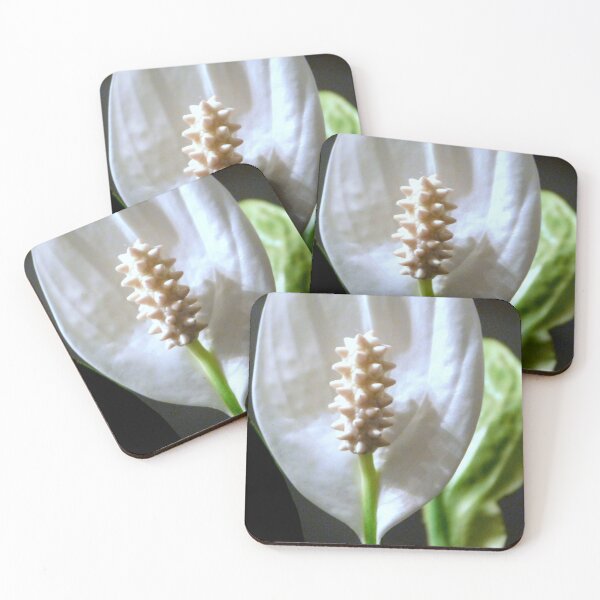 Item preview, Peace Lily on Black designed and sold by ctheworld.