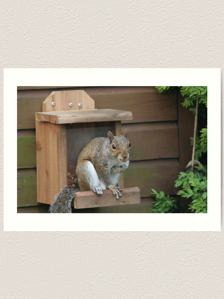 Alternate view of Squirrel 8 Art Print