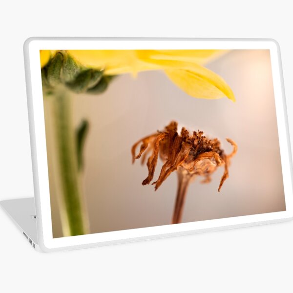 micro dry brown flower beauty Laptop Skin