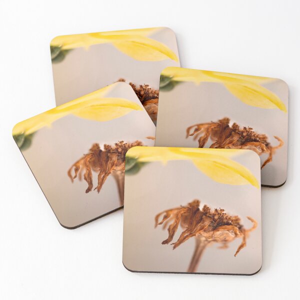 Item preview, micro dry brown flower beauty designed and sold by jiashu xu.