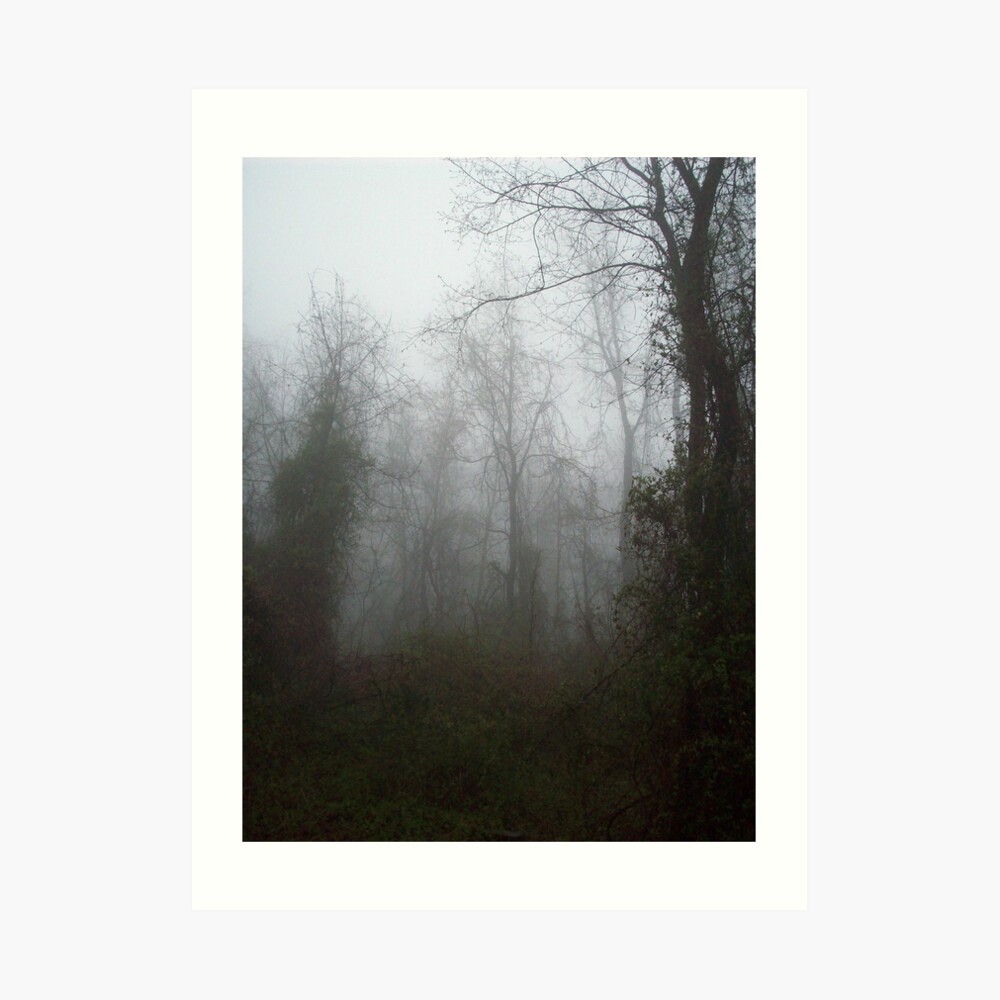 Misty Forest Art Print