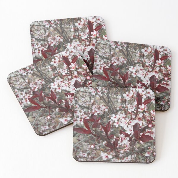 Item preview, Prunus Cistena designed and sold by Sarinilli.