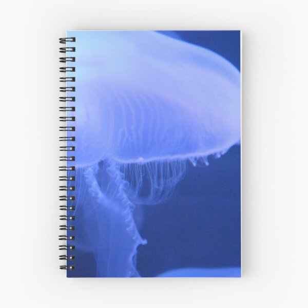 Item preview, Large Jellyfish designed and sold by Sarinilli.
