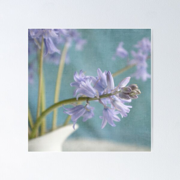 Item preview, Bluebell designed and sold by Jill Ferry.