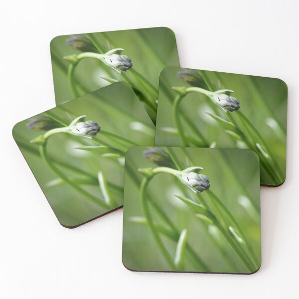 Item preview, Spring Breeze designed and sold by PatSeg Photos.