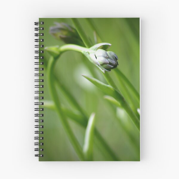 Item preview, Spring Breeze designed and sold by PatSeg Photos.