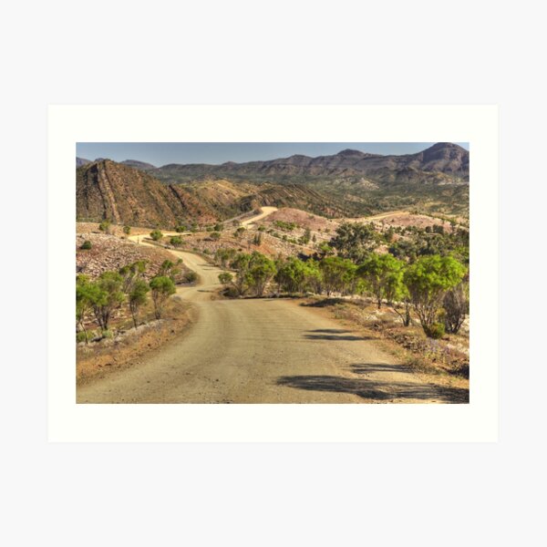 Bunyeroo Valley Finders Ranges Art Print
