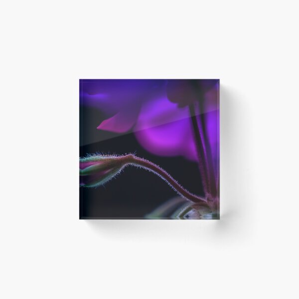 Item preview, purple budding flower with romantic and mysterious designed and sold by jiashu xu.