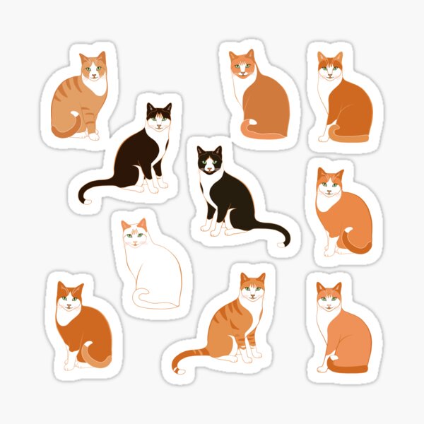 Ginger Cats on pink (with stickers) Sticker