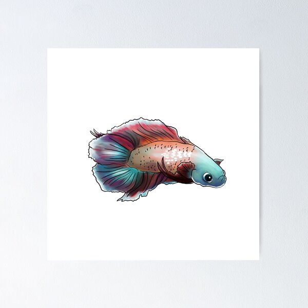 Item preview, Halfmoon Double-tail Plakat “Howie” designed and sold by Liz Roy.