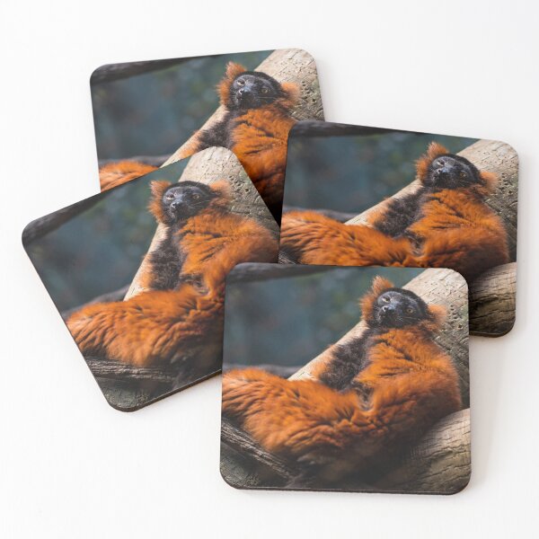 Item preview, Lazy Monkey designed and sold by Flexmaster.
