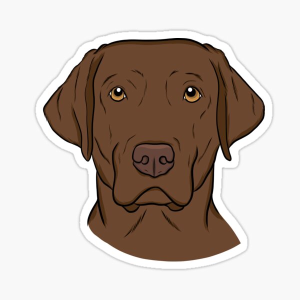 "A Chocolate Labrador Retriever " Sticker for Sale by rmcbuckeye