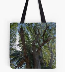 The Halo - University of WA, Perth Tote Bag