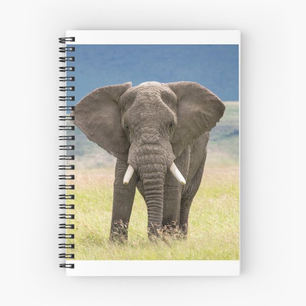 Item preview, Elephant, Ngorongoro Crater, Tanzania designed and sold by Andrew Goodall.