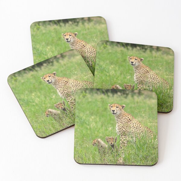 Item preview, Cheetah Adult and Cubs, Tarangire National Park Tanzania designed and sold by Andrew Goodall.