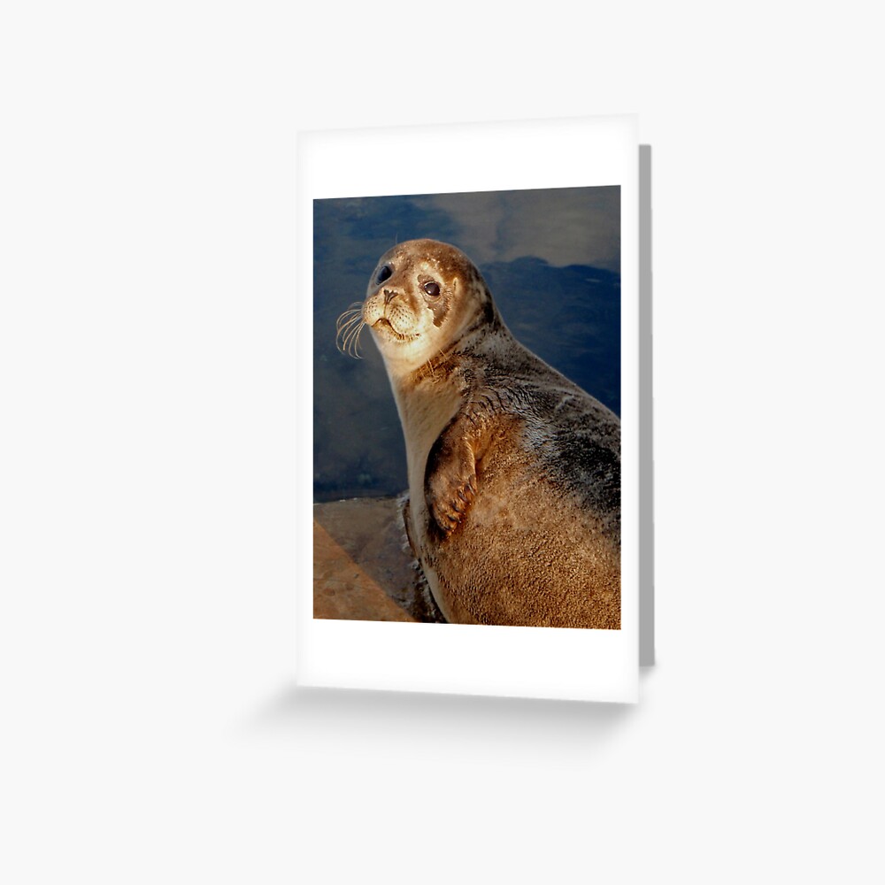 Selkie Greeting Card