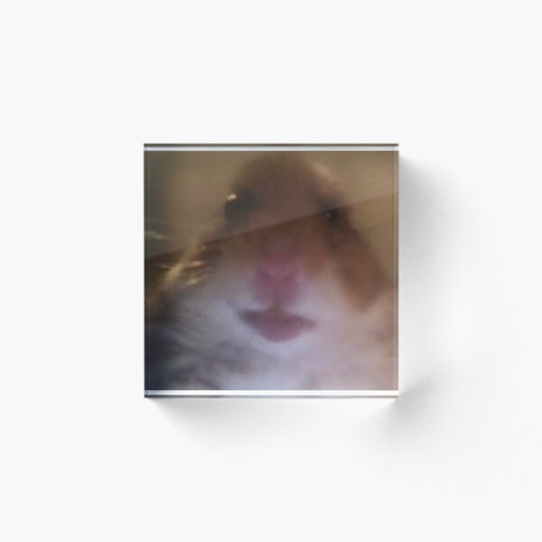 Item preview, Staring Hamster designed and sold by freshmemes.