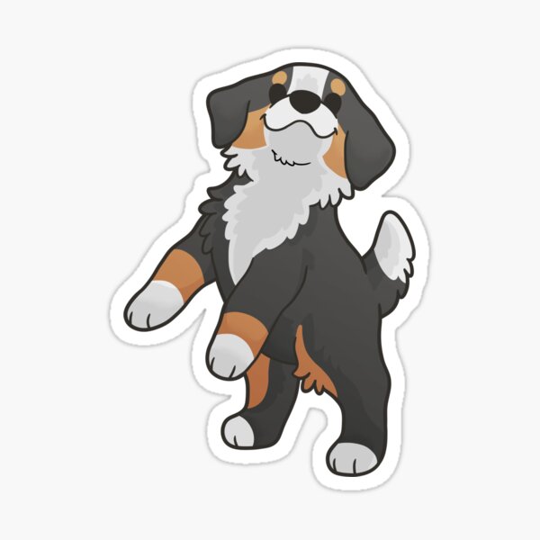 Chunky Bernese Mountain Dog Sticker