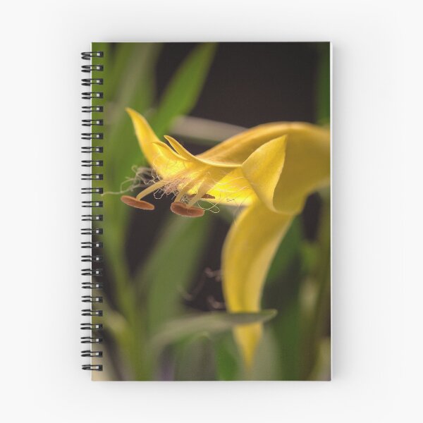 Item preview, sunshine yellow budding flower designed and sold by jiashu xu.