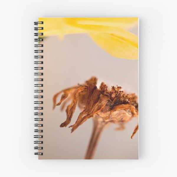 Item preview, micro dry brown flower beauty designed and sold by jiashu xu.