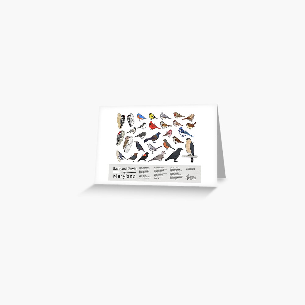 Item preview, Greeting Card designed and sold by BirdsandFriends.