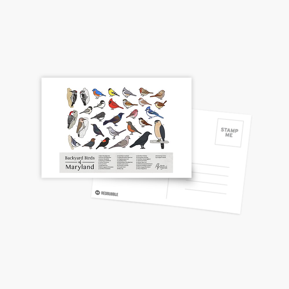 Item preview, Postcard designed and sold by BirdsandFriends.