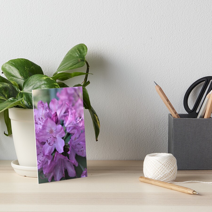 Item preview, Art Board Print designed and sold by RVogler.