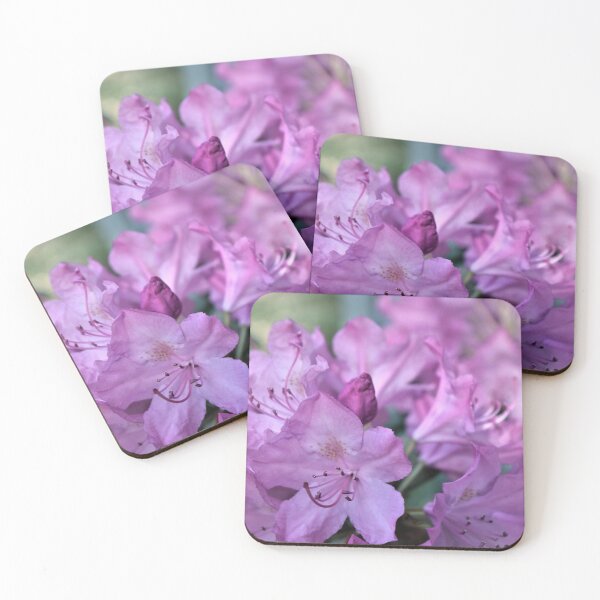 Item preview, Spring Beauty designed and sold by RVogler.