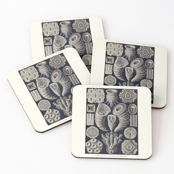 Item preview, Plate 29. Tetracoralla (Rugosa), an extinct order of corals. designed and sold by Squirrox.
