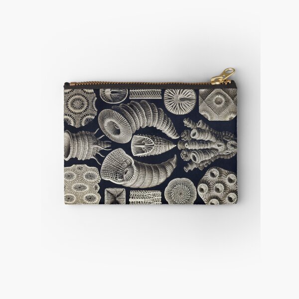 Item preview, Plate 29. Tetracoralla (Rugosa), an extinct order of corals. designed and sold by Squirrox.
