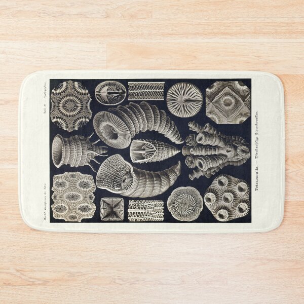 Item preview, Plate 29. Tetracoralla (Rugosa), an extinct order of corals. designed and sold by Squirrox.