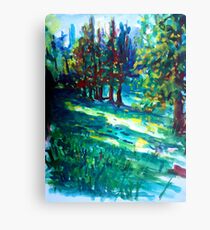 Nature shadows landscape Canvas Print