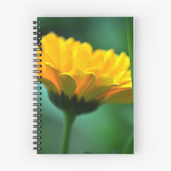 Item preview, Yellow Tickseed Flower designed and sold by David Michael Booth.