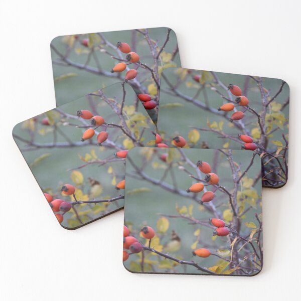 Item preview, Rosehips designed and sold by CameliaC.