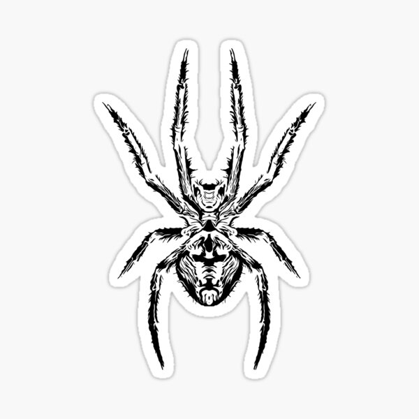 Artikel-Vorschau von Spinne, designt und verkauft von ElvisU.