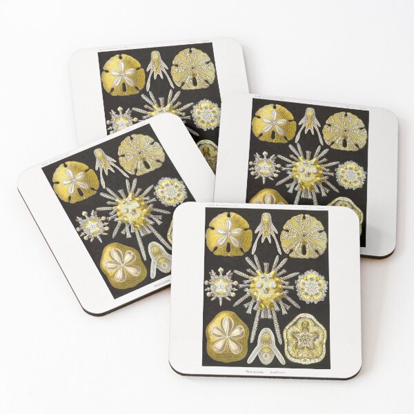 Item preview, Plate 30. Echinidea, an older grouping of sea urchins known as 'cake urchins' or 'sea biscuits'. designed and sold by Squirrox.