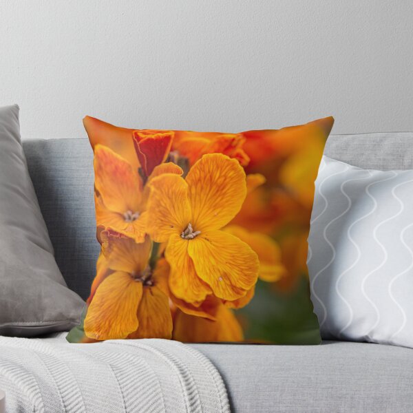 Aperçu de l'œuvre Macro Orange Flowers créée et vendue par Pixie Copley LRPS.