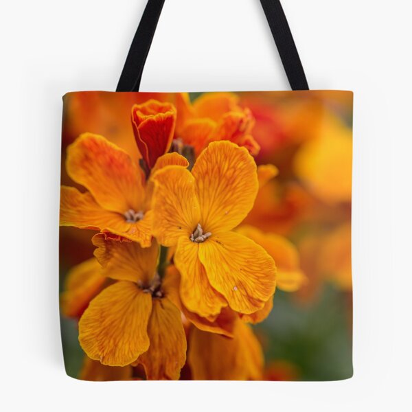 Aperçu de l'œuvre Macro Orange Flowers créée et vendue par Pixie Copley LRPS.
