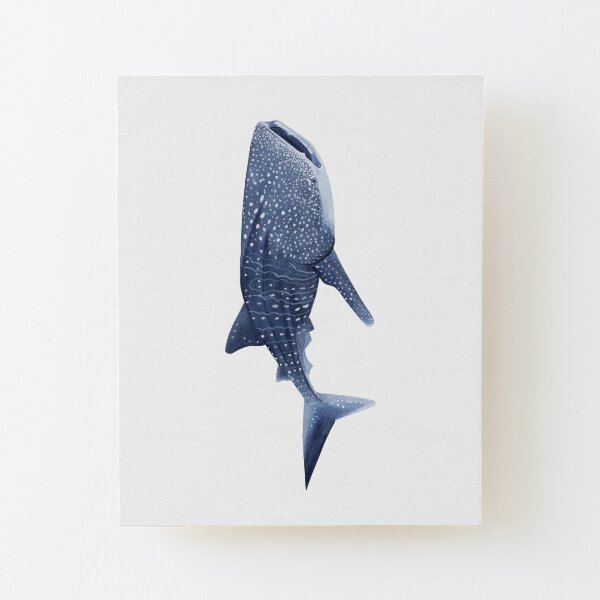 WHALE SHARK Wood Mounted Print