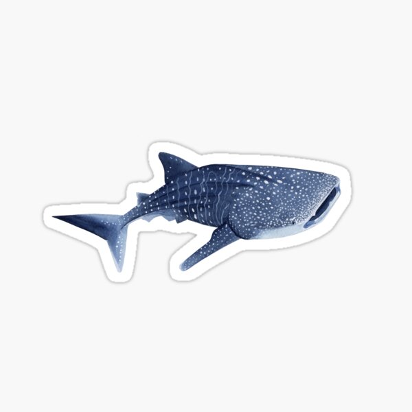 Watercolor Shark Stickers Redbubble - whale shark roblox