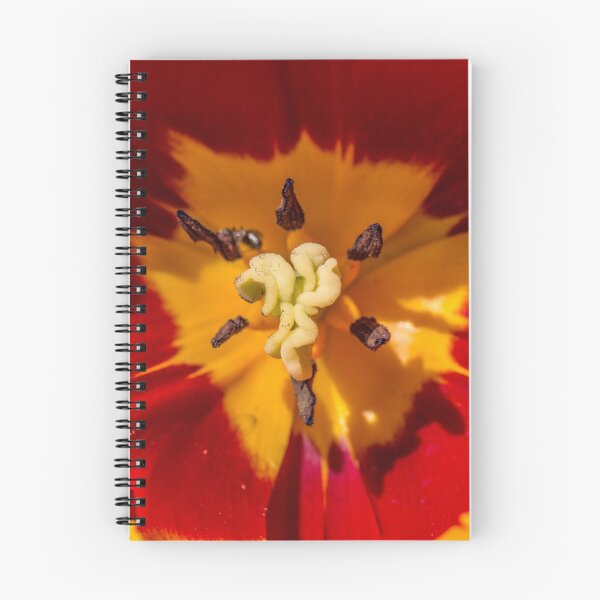 Item preview, Macro Red and Yellow Tulip Flower designed and sold by Pixie Copley LRPS.